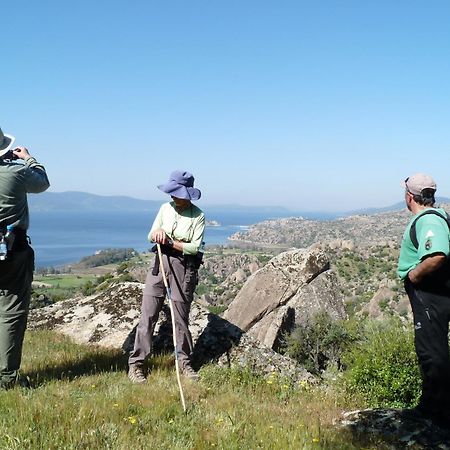 Selenes Pansiyon Kapikiri Dış mekan fotoğraf