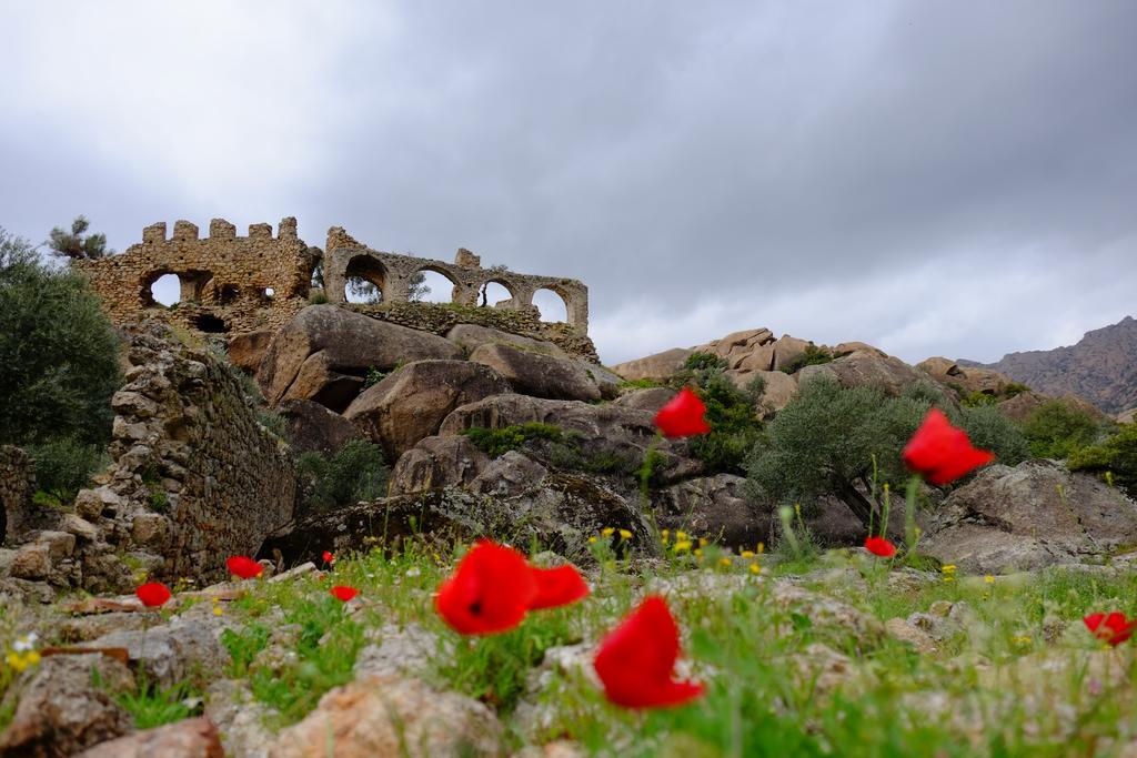 Selenes Pansiyon Kapikiri Dış mekan fotoğraf