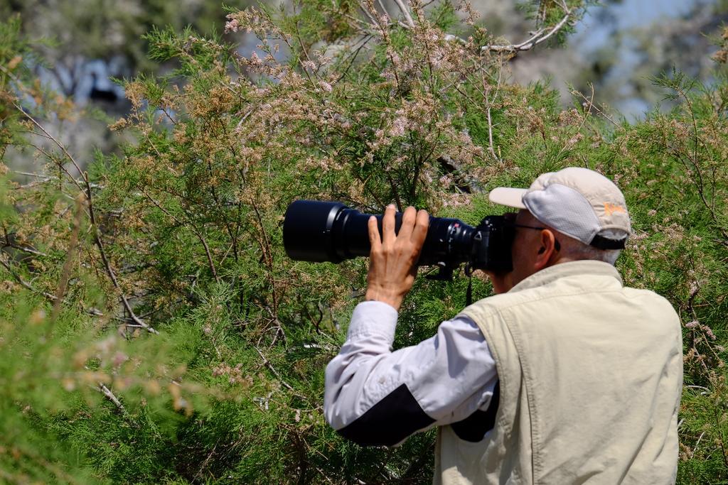 Selenes Pansiyon Kapikiri Dış mekan fotoğraf